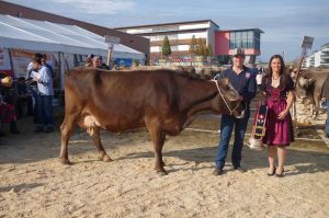 005k-Miss Protein Warner WANDA Muff Toni